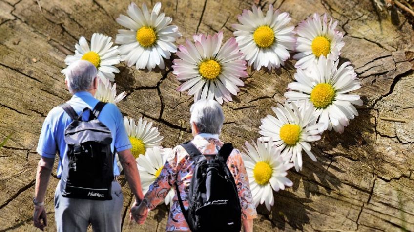 Checa las FLORERÍAS que dan DESCUENTO a adultos mayores para el Día de San Valentín