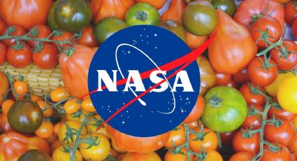 ¿Cuál es el SUPERALIMENTO recomendado por la NASA para bajar de peso?