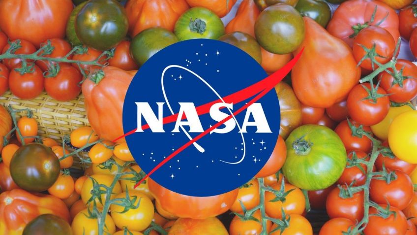 ¿Cuál es el SUPERALIMENTO recomendado por la NASA para bajar de peso?