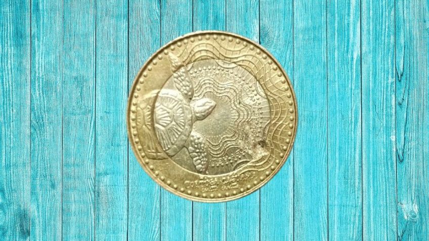 Moneda de 1,000 pesos con una tortuga se vende por 50 mil pesos en internet | Características