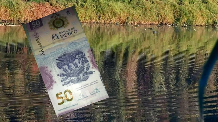Características del billete de 50 pesos que vale 300 mil pesos en redes