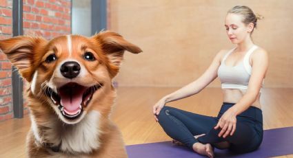 VIDEO viral: perritos interrumpen clase de YOGA y alegran el día a los asistentes