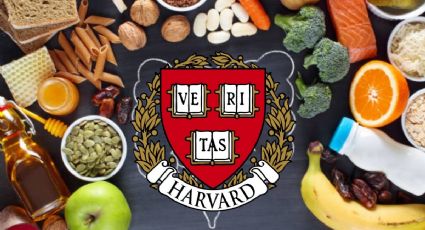 ¿Cuáles son los 4 alimentos que debemos incluir en la dieta según la Universidad de Harvard?