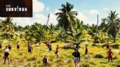 VIDEO: Así será la quinta temporada del Survivor México según el Warrior