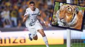 Liga MX: Tigres salió más fiera, pero dejó ir a Pumas y los MEMES se burlan del empate
