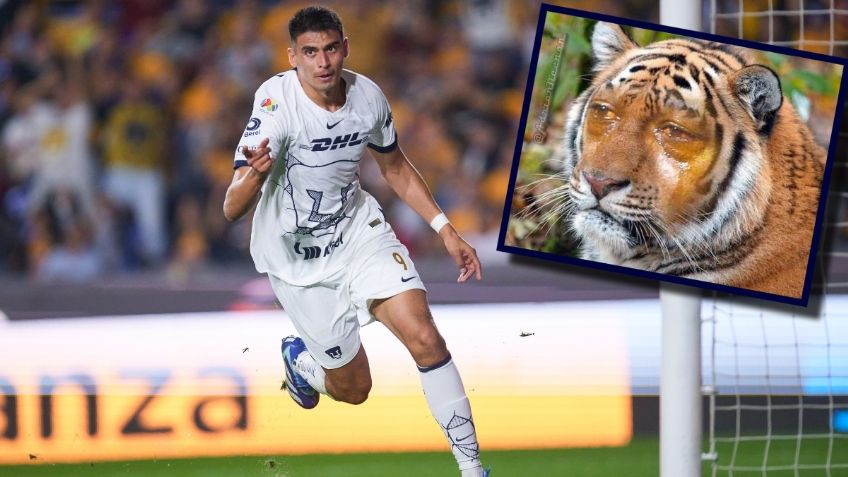 Liga MX: Tigres salió más fiera, pero dejó ir a Pumas y los MEMES se burlan del empate