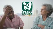 ¿Cuáles son las RAZONES por las que te pueden negar la Pensión IMSS?