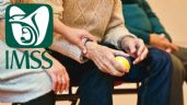 Pensión IMSS: ¿Quiénes son los adultos mayores que recibirán un nuevo BENEFICIO en febrero?