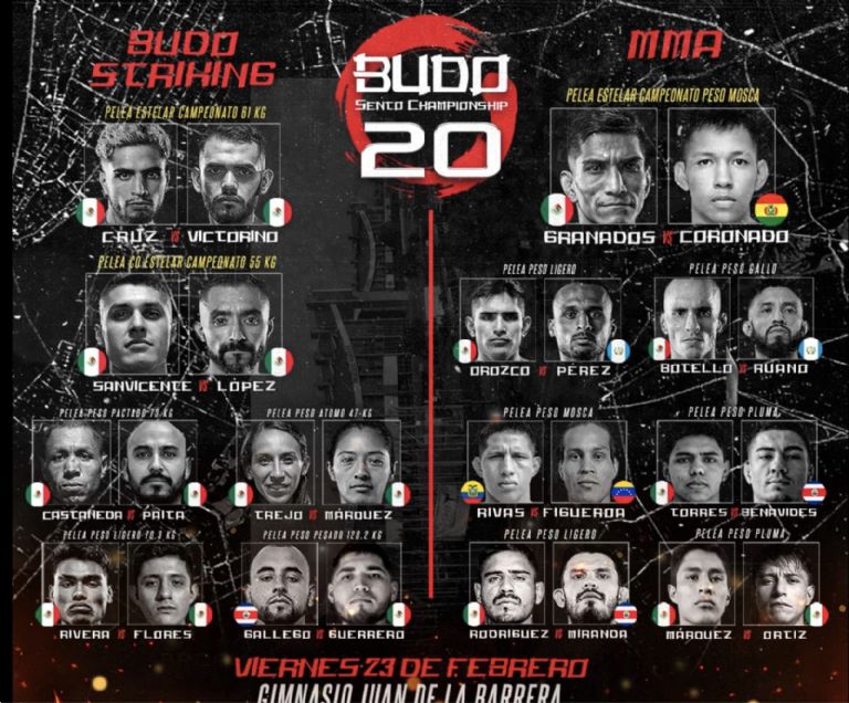 Budo Sento Championship 