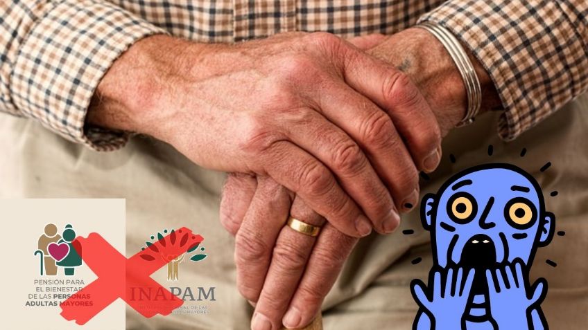 ¿Credencial INAPAM y Pensión Bienestar desaparecerán con las Reformas del Gobierno?