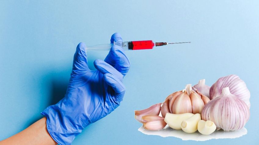 ¿Qué alimentos mejoran la circulación en la sangre?