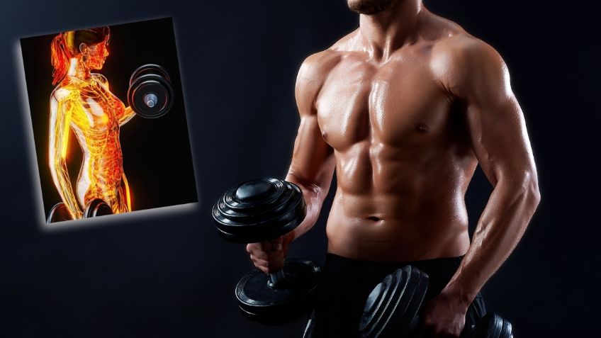 5 pasos para recuperar el MÚSCULO después de bajar de peso