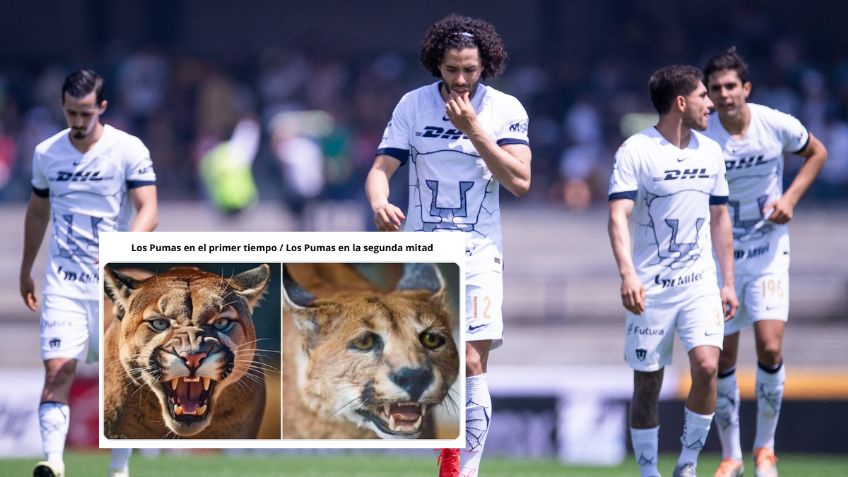 Los MEMES estallan luego de que Pumas dejara escapar la victoria ante Xolos tras cometer errores
