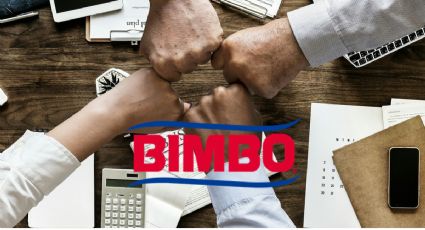 Bimbo abre 3 vacantes de empleo en marzo con SUELDOS de 10 mil hasta 70 mil pesos