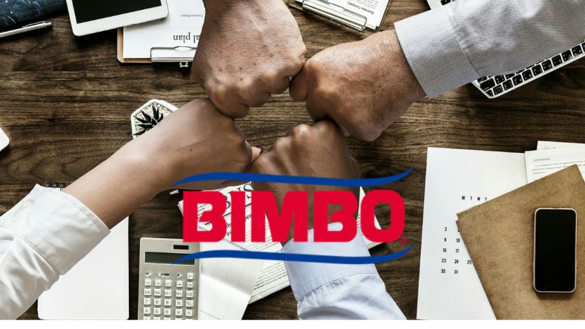 Bimbo abre 3 vacantes de empleo en marzo con SUELDOS de 10 mil hasta 70 mil pesos