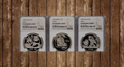 Colección de monedas de PLATA con un panda se vende en casi 200 mil pesos | Características