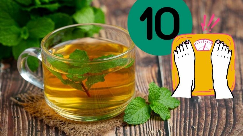 ¿Cuáles son las mejores infusiones para bajar de peso? | Recomendaciones