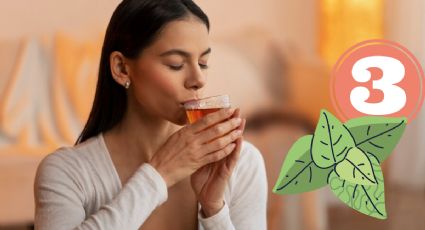 ¿Es bueno tomar té de menta en ayunas? Beneficios y recomiendaciones