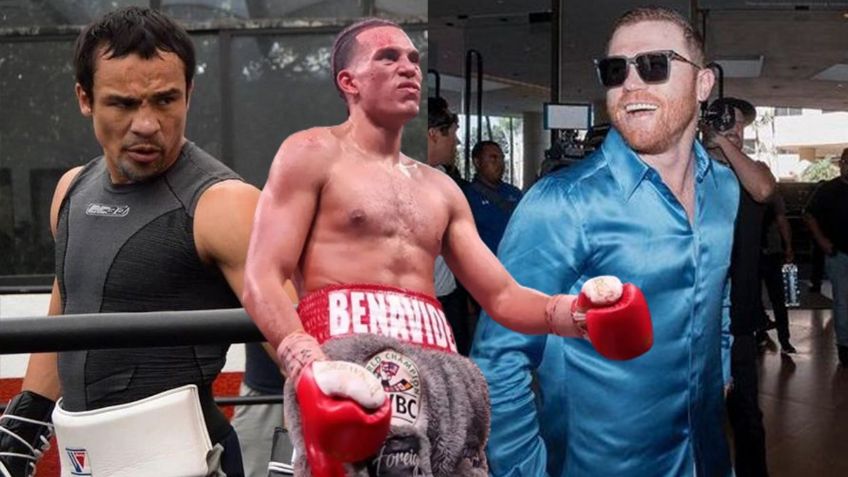 Juan Manuel Márquez lanza propuesta para que Canelo Álvarez acepte pelear contra David Benavidez