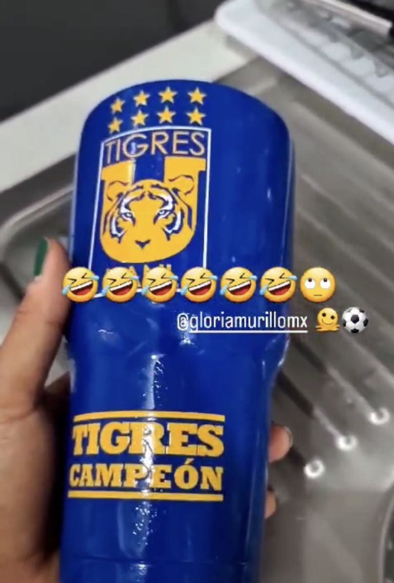 IG: @paulettegallardo.mx