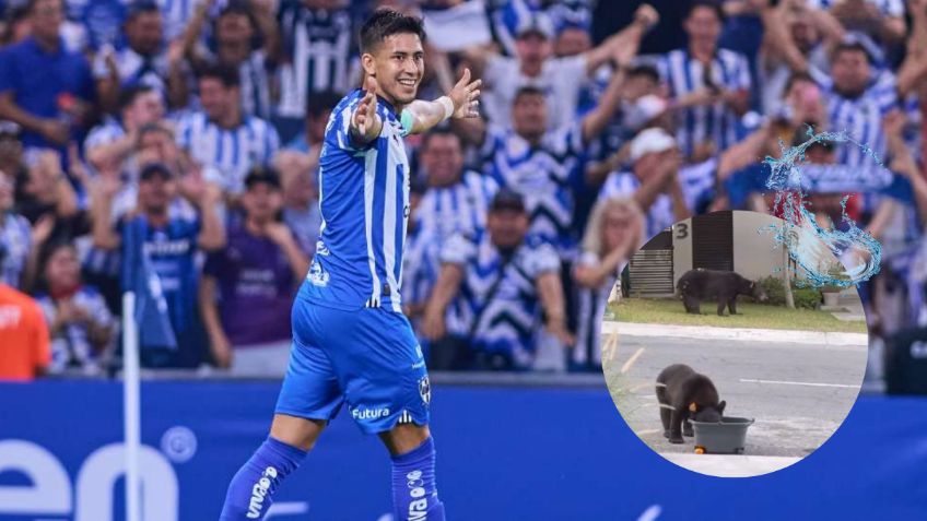 Captan a Maxi Meza sirviendo agua a osos afuera de su casa ante el calor intenso en Monterrey