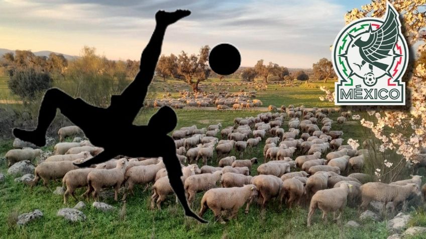 De arrear animales en su pueblo, este futbolista mexicano triunfa ahora en Grecia y en el Tri