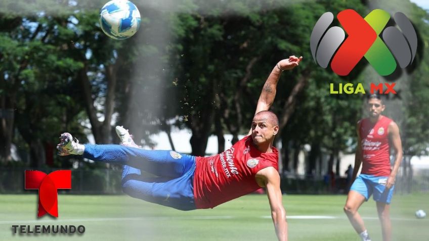 ¡Apareció el peine! Revelan supuesta razón por la que Chicharito solo jugaría partidos de local con Chivas