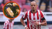 Foto ilustrativa de la nota titulada: ¿Burla para Chicharito Hernández? Mascota de Cruz Azul finge lesión previo al partido con Chivas