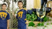 Foto ilustrativa de la nota titulada: Triunfó en Pumas, traicionó al equipo por dinero y ahora se dedica a vender vinos