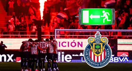 ¿Se va Chicharito? El delantero que saldría de Chivas tras la llegada de Alan Pulido