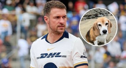 Aaron Ramsey pide ayuda para encontrar a su perro perdido en San Miguel de Allende | FOTO