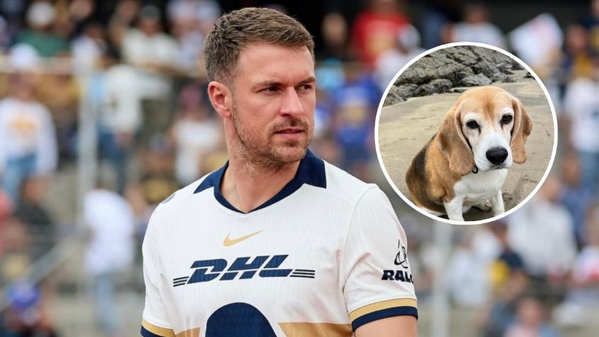 Aaron Ramsey pide ayuda para encontrar a su perro perdido en San Miguel de Allende | FOTO
