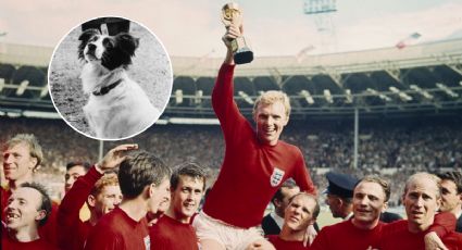 El perro que salvó el Mundial 1966: la historia de Pickles, el héroe que halló la Copa robada