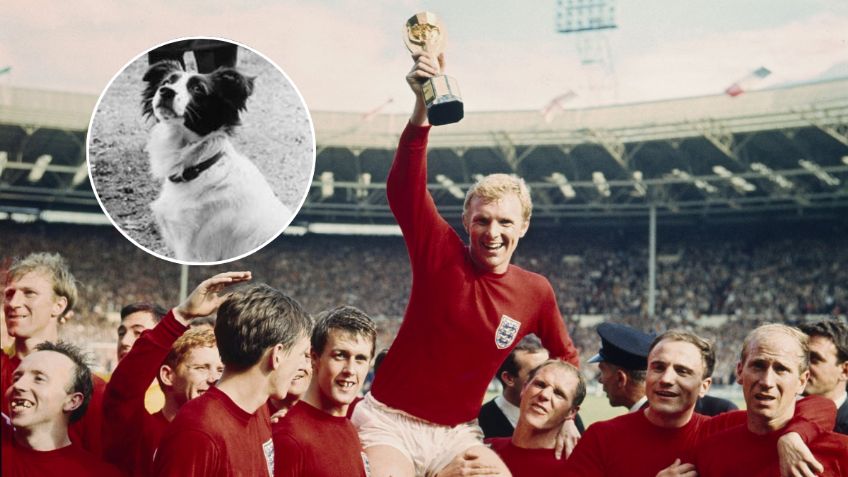 El perro que salvó el Mundial 1966: la historia de Pickles, el héroe que halló la Copa robada