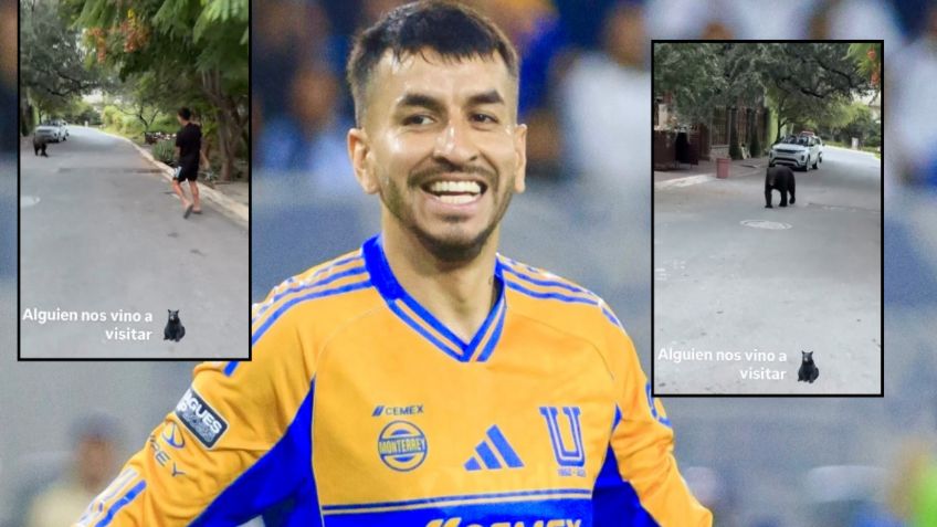 Ángel Correa y su familia tienen inesperado encuentro con un oso en Monterrey | VIDEO