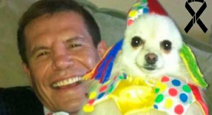 Murió Camilo, el perro de Julio César Chávez que lo acompañó durante 17 años