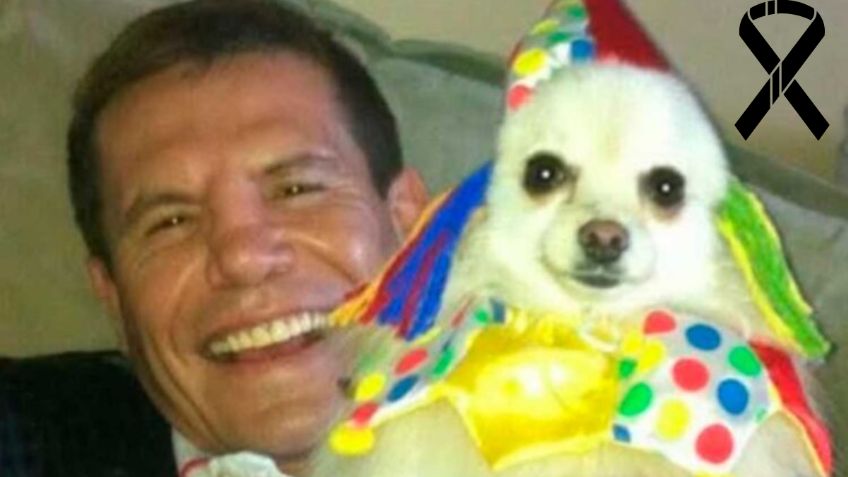 Murió Camilo, el perro de Julio César Chávez que lo acompañó durante 17 años