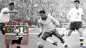 Foto ilustrativa de la nota titulada: El día que un perro interrumpió la final del Mundial de 1962 y se robó el protagonismo en Chile