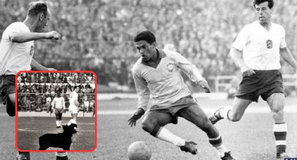 El día que un perro interrumpió la final del Mundial de 1962 y se robó el protagonismo en Chile