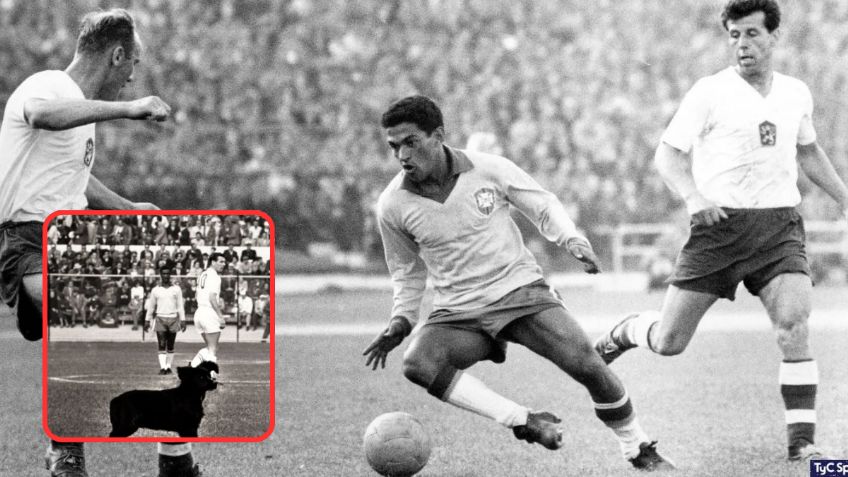 El día que un perro interrumpió la final del Mundial de 1962 y se robó el protagonismo en Chile