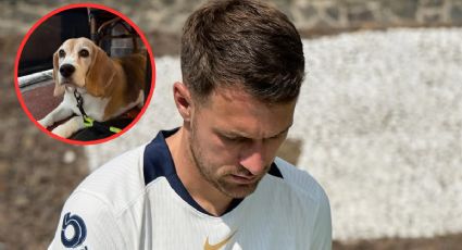 Familia de Aaron Ramsey mantendrá la búsqueda de Halo, aunque acepta posible tragedia