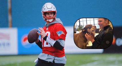 Tom Brady revela que Junie es un CLON de Lua, su perrita fallecida en 2023