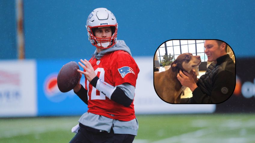 Tom Brady revela que Junie es un CLON de Lua, su perrita fallecida en 2023