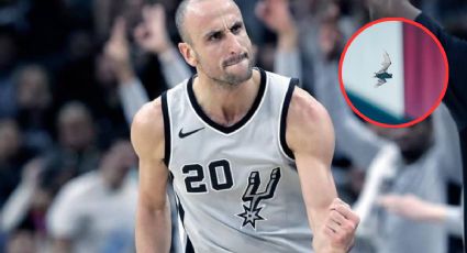 Los animales que detuvieron la NBA: del murciélago de Ginóbili al gato que invadió la cancha