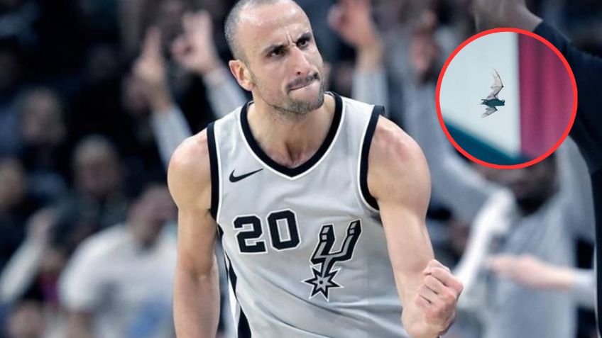 Los animales que detuvieron la NBA: del murciélago de Ginóbili al gato que invadió la cancha