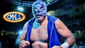 Foto ilustrativa de la nota titulada: Blue Panther confía en la nueva generación del CMLL: "El ring sagrado es evolutivo"