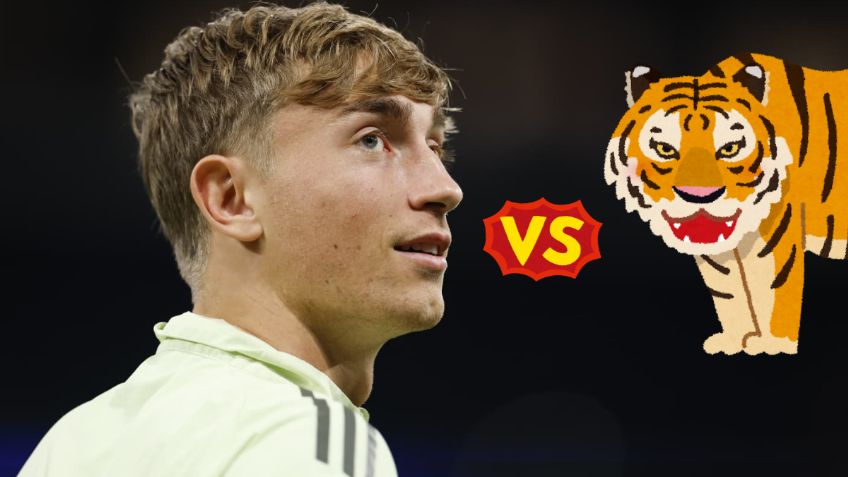 ¿Por qué los hombres viven menos? Dean Huijsen, del Real Madrid, trata de vencer a un tigre