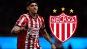 Foto ilustrativa de la nota titulada: ¿De Chivas a Rayos? Necaxa buscaría a goleador del Rebaño Sagrado para el Clausura 2026