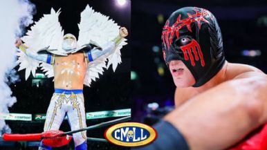 Descripción de la imagen