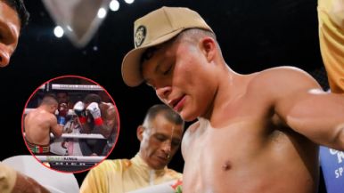 Descripción de la imagen